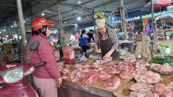 Giá thịt lợn ‘nhảy đồng’, chủ trang trại ở Hải Phòng thừa nhận tình cảnh chăn nuôi hiện tại