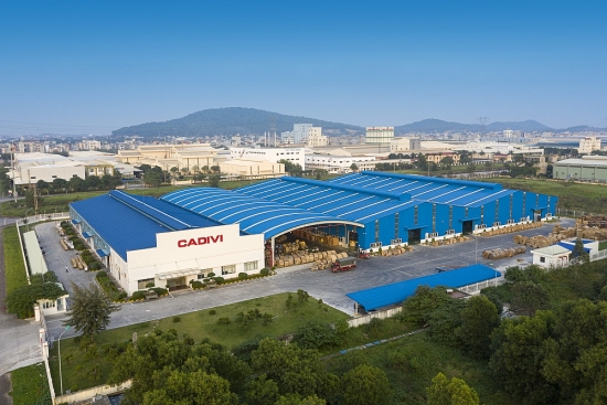 Gelex Electric (GEE) dự mua 2,1 triệu cổ phiếu Cadivi (CAV)