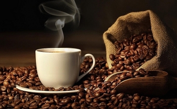 Giá cà phê hôm nay 1/4: Tăng mạnh 1.000 đồng/kg