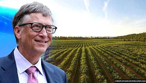 Tỷ phú Bill Gates đang là điền chủ lớn nhất nước Mỹ khi sở hữu 110.000ha đất nông nghiệp - Ảnh: UNSPLASH