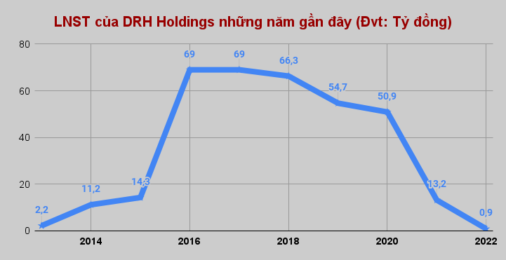DRH Holdings và 5 năm 