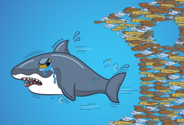 Nỗi buồn "cá mập" tháng 2: Dragon Capital "cắt lỗ" DXG, PYN Elite Fund "thua đau" cổ phiếu ngân hàng