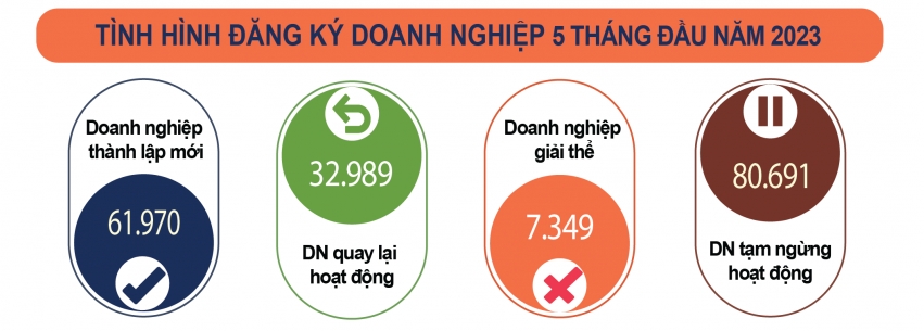 Hơn 12.000 doanh nghiệp thành lập mới trong tháng 5/2023