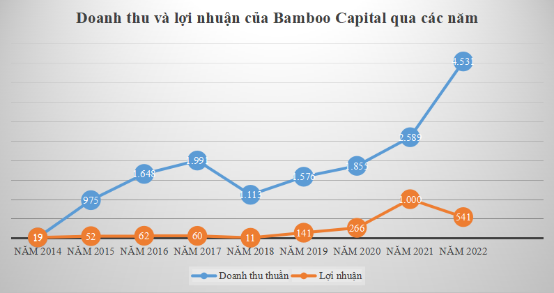 Bamboo Capital (BCG) - Doanh nghiệp đứng sau 2 dự án điện mặt trời được vận hành thương mại sớm nhất