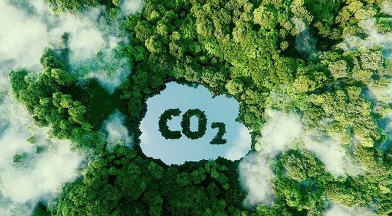 Tín chỉ Carbon: Việt Nam đã thu hàng trăm triệu USD