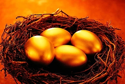 Một "quả trứng vàng" mang về gần 400.000 tỷ cho Việt Nam chỉ sau 7 tháng