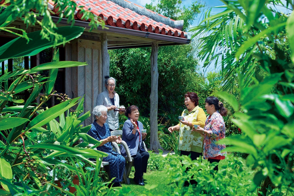 Ngỡ ngàng "vùng đất bất tử', nơi con người sống trăm tuổi chỉ nhờ loại quả giá 20.000 đồng/kg ở chợ Việt