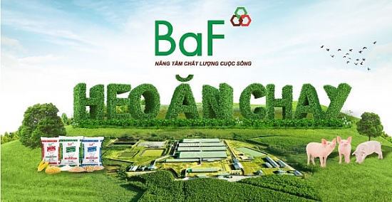 Nông nghiệp BAF chào bán 68 triệu cổ phiếu giá bằng 1/2 thị giá