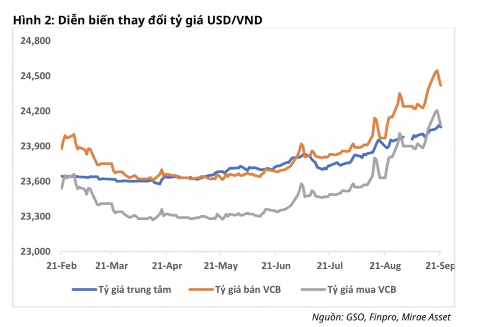 NVL, HPG và loạt doanh nghiệp vay USD đối mặt nỗi lo tỷ giá?