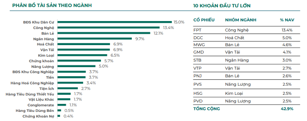 Cổ phiếu PDR, DXG, VND, HSG giúp quỹ thuộc Dragon Capital lãi đậm 25-30%