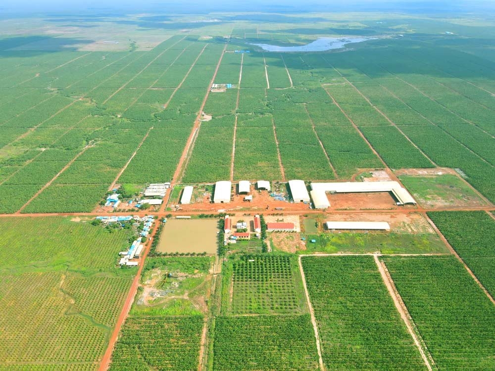 Tỷ phú Trần Bá Dương chia sẻ về dự án nông nghiệp tại Lào: Tương lai sẽ làm du lịch sinh thái