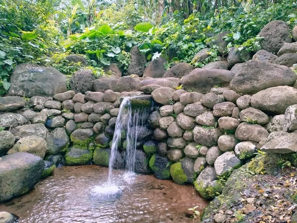 Hệ thống giếng cổ 5.000 năm tuổi không cạn nước của Việt Nam, là di sản ‘có một không hai’
