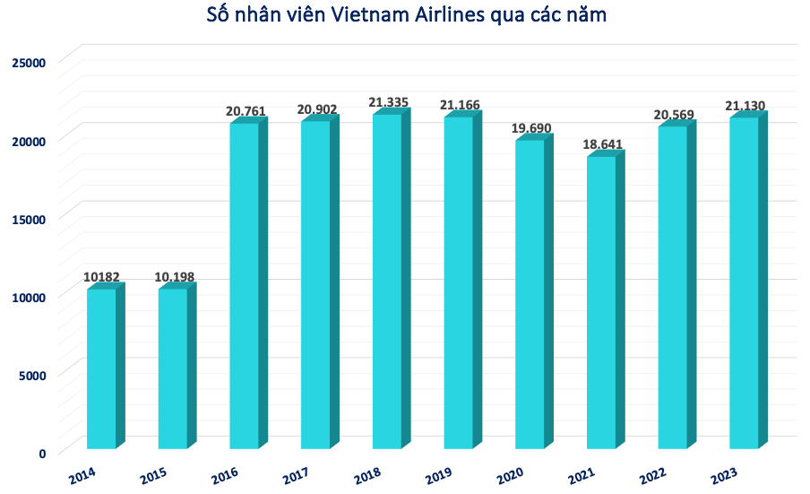Vietnam Airlines (HVN): Kiểm toán nghi ngờ khả năng hoạt động liên tục