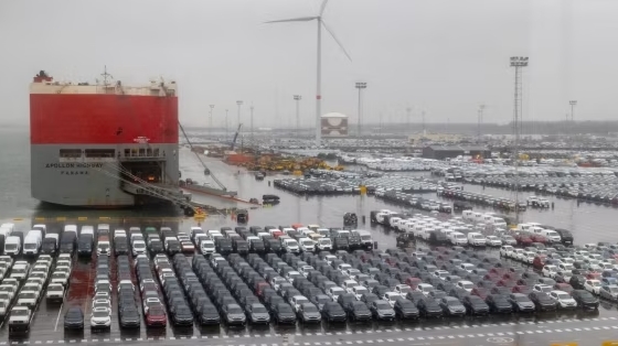 Ô tô điện Trung Quốc 'tấn công' châu Âu, biến những cảng đông đúc nhất thành... bãi đỗ xe