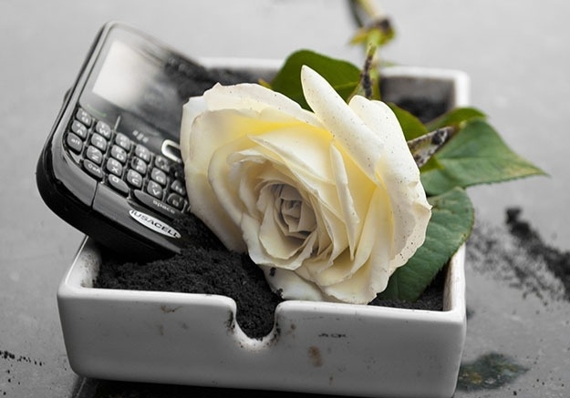 'Tượng đài' sụp đổ: BlackBerry và cú ngã của “cựu vương” cố chấp coi iPhone là 1 sản phẩm thất bại tệ hại