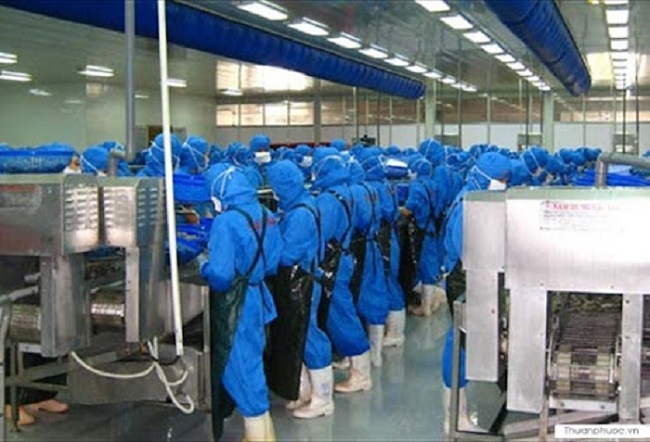 Thủy sản và Thương mại Thuận Phước là doanh nghiệp hàng đầu cả nước về chế biến, xuất khẩu thủy sản đông lạnh