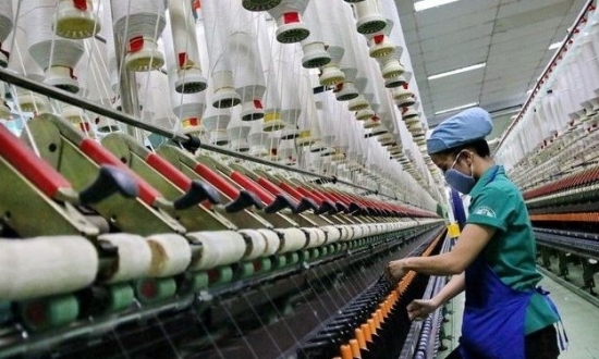 Một doanh nghiệp dệt may 'khoe' doanh thu hơn 900 tỷ, lượng đơn hàng dồi dào đến cuối năm