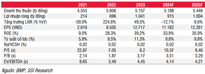 Cổ phiếu Nhựa Bình Minh (BMP): Sau bull trap là chuỗi giảm dài nhất 19 năm