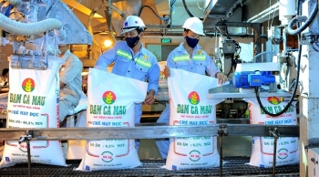 Đạm Cà Mau (DCM) hoàn thành 77% kế hoạch xuất khẩu năm 2024