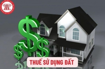 Bất ngờ: Nguy cơ thất thu 89.000 tỷ đồng tiền thuế sử dụng đất
