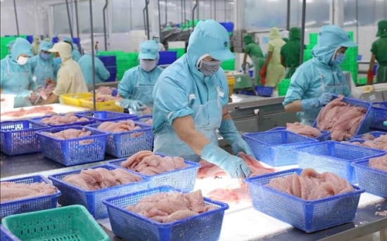 Nam Việt (ANV): Lợi nhuận gộp quý II tăng 290%