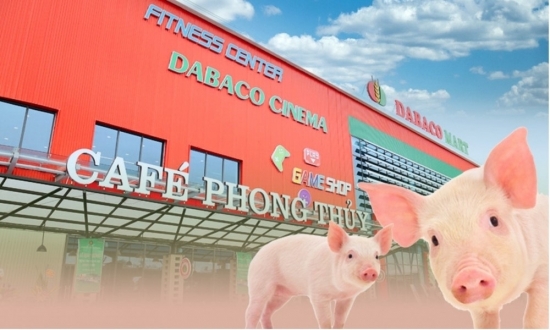 Dabaco (DBC) lên phương án xử lý 2,79 triệu cổ phiếu 'ế' chưa phân phối hết