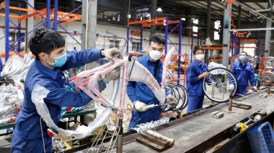 Gần 22% doanh nghiệp gặp khó khăn do không đủ sức cạnh tranh với hàng nhập khẩu