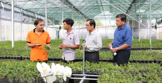 Bỏ 20 triệu tiền vốn, chàng trai Tây Ninh kiếm 5 tỷ/năm từ ‘cây quý tộc’
