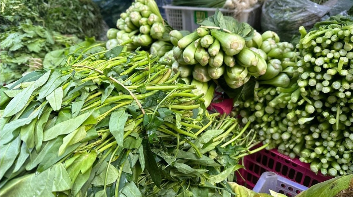 4 loại rau Việt đắt hơn cả thịt cá, lúc trái vụ bỏ tiền triệu cũng khó mua