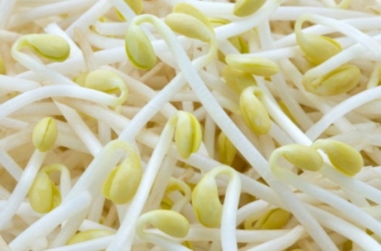Cơ sở sản xuất nửa tấn giá đỗ bằng chất cấm mỗi ngày tại Hưng Yên: Đã từng bị xử phạt nhưng vẫn tiếp tục vi phạm