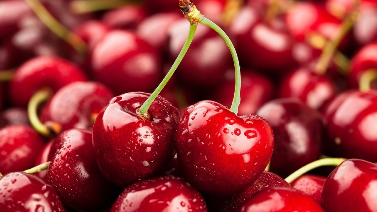 Tranh nhau mua cherry 4 triệu đồng/hộp làm quà tặng xa xỉ Tết Ất Tỵ