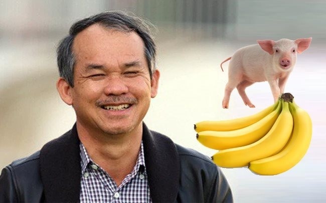 'Chân ái' heo ăn chuối từng khiến bầu Đức 'mừng đến mất ngủ' làm ăn thua lỗ