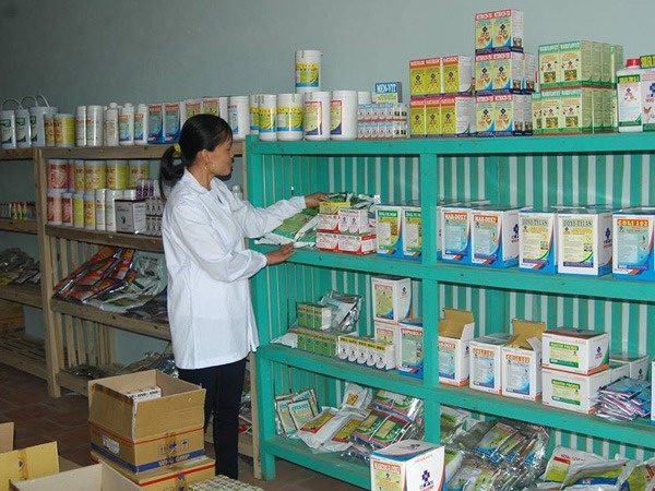 Ngành học có mức học phí chỉ 11 triệu đồng, ra trường đi làm có thể kiếm 100 triệu/tháng