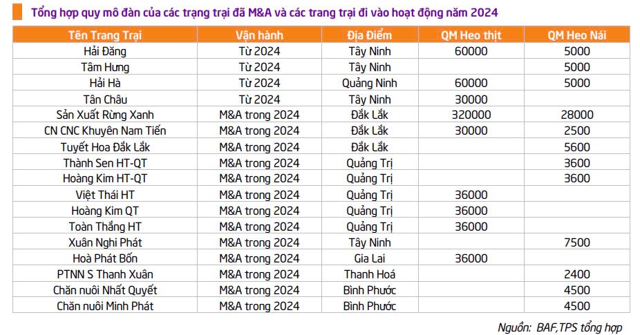 Dịch bệnh và chính sách đẩy hàng nghìn trại nuôi heo đóng cửa, một ông lớn tích cực thâu tóm nâng tổng đàn lên 1,5 triệu con