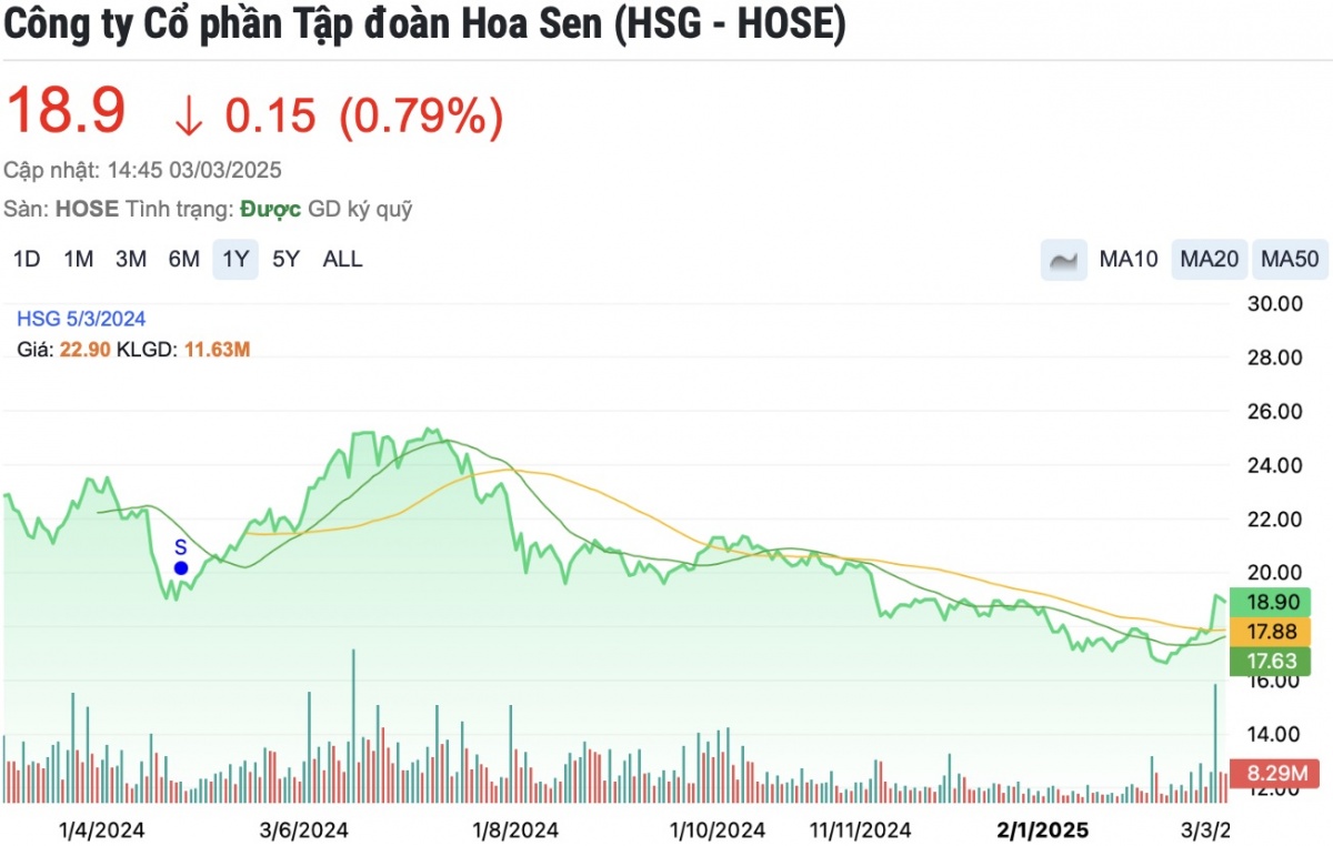 Hoa sen (HSG) chấm dứt hoạt động loạt địa điểm kinh doanh, ‘nâng cấp’ lên thành chi nhánh