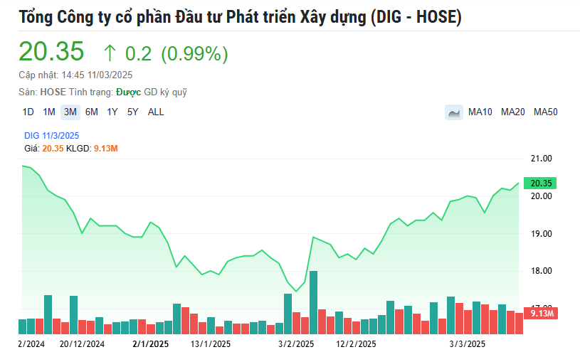 DIC Corp (DIG) hủy kế hoạch chào bán 200 triệu cổ phiếu