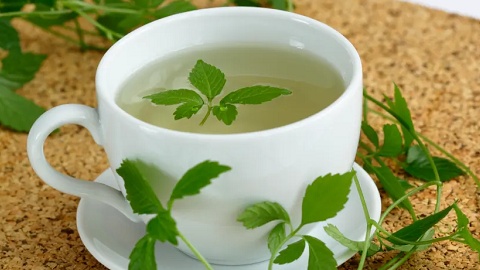 Dây leo mọc tại vùng núi Việt Nam được báo Mỹ ca ngợi là 'thảo dược trường sinh': Bán rộng rãi trên thị trường, ứng dụng nhiều trong y học