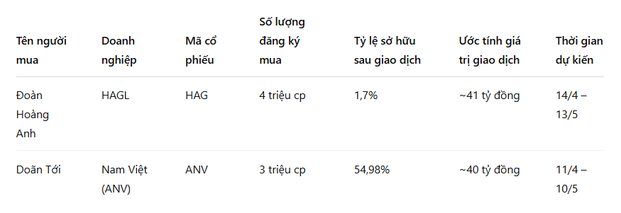 Chủ tịch SSI nói 'đã đến lúc bắt đáy', cá mập HAG, ANV đăng ký gom hàng