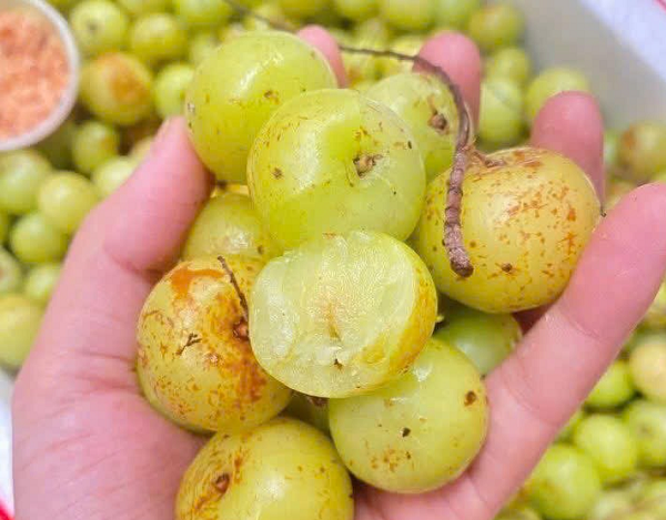 Loại quả dân dã xưa ít ai để ý, giờ thành đặc sản đắt khách nhờ hương vị lạ, giá gần 100.000 đồng/kg