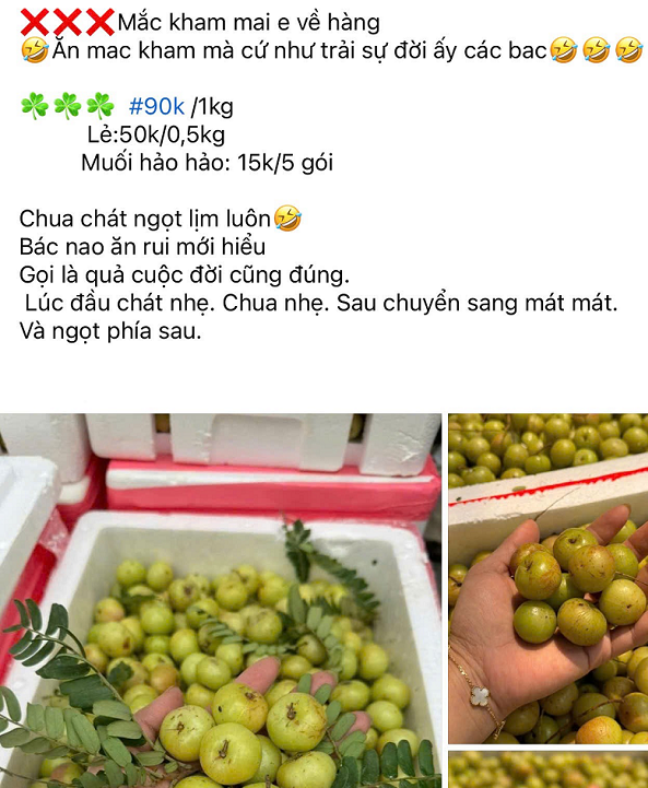 Loại quả dân dã xưa ít ai để ý, giờ thành đặc sản đắt khách nhờ hương vị lạ, giá gần 100.000 đồng/kg