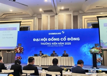 Không thực hiện chia cổ tức, Chủ tịch Eximbank nói gì?