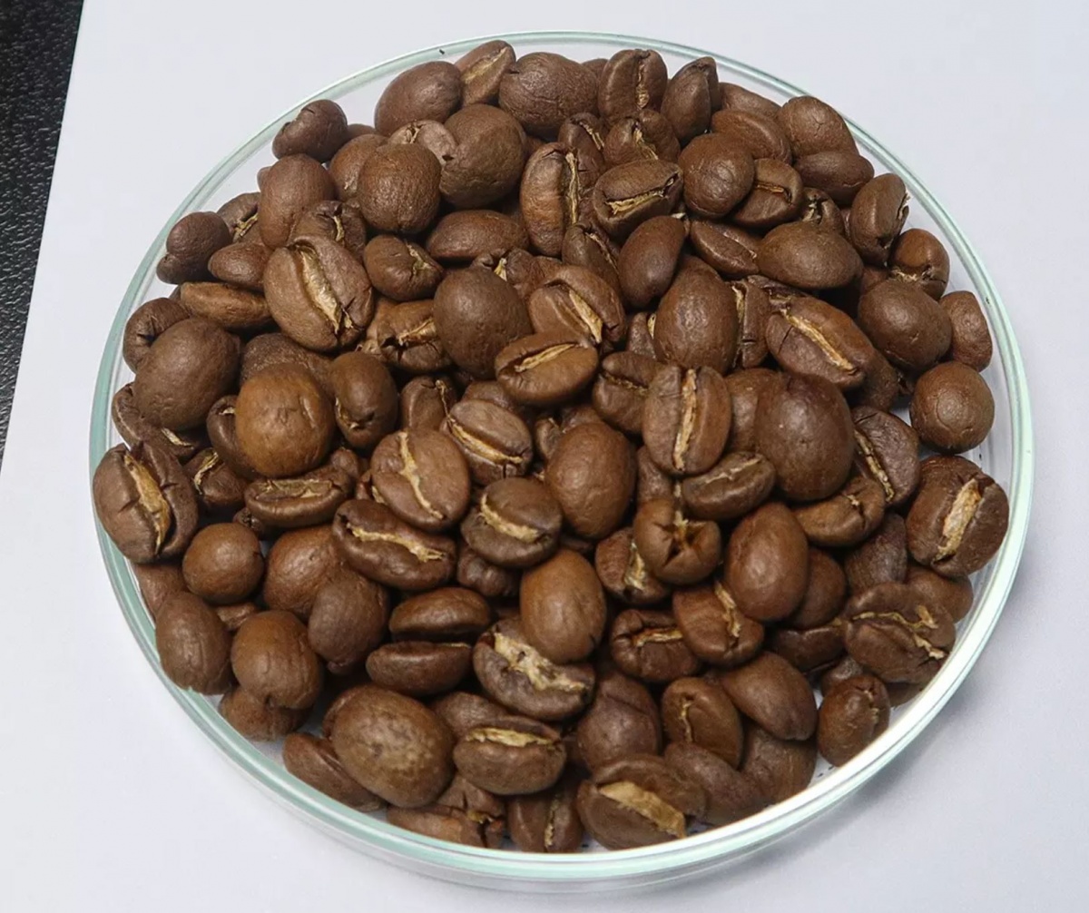 Thủ phủ trà Trung Quốc trở thành nơi dẫn đầu cả nước về sản lượng cà phê: Sự chuyển mình âm thầm nhưng quyết liệt
