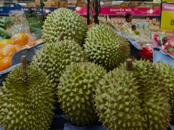 Giá sầu riêng 'loạn nhịp' dịp lễ, xuất khẩu sang Trung Quốc giảm đến 78%