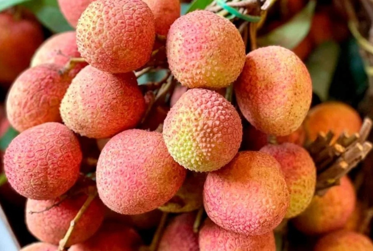 Vải u hồng và vải chín sớm ở Tây Nguyên được bán rất đắt đỏ tại TP. Hồ Chí Minh, nhiều người cảnh báo về việc bị lừa khi mua trên mạng xã hội