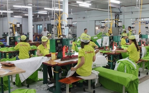 Giữa lùm xùm phá sản, cổ phiếu công ty nhựa của gia đình cựu Thứ trưởng Hồ Thị Kim Thoa trở lại UPCoM