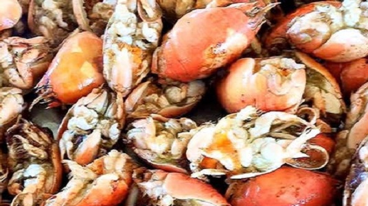 Con đặc sản có tên cực lạ, giá tới 250.000 đồng/kg nhiều người 'săn lùng'