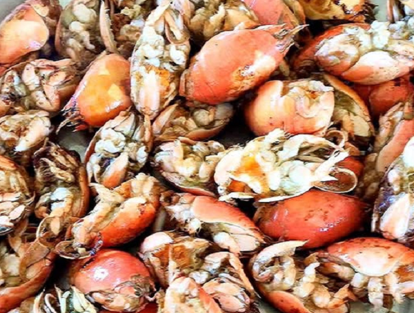 Con đặc sản có tên cực lạ, giá tới 250.000 đồng/kg nhiều người 'săn lùng'