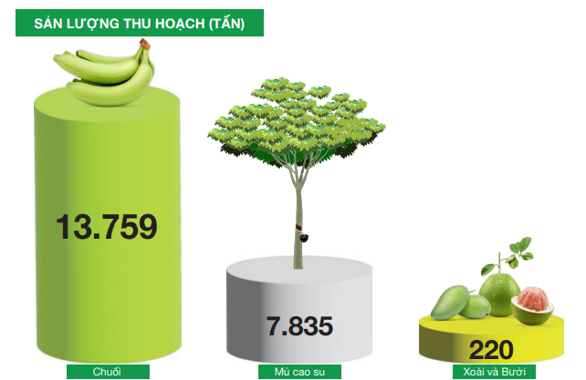 Cùng một năm ở HAGL và HNG: Bầu Đức muốn ‘trả ơn đời’, ông Trần Bá Dương kỳ vọng ‘thanh thản hơn’