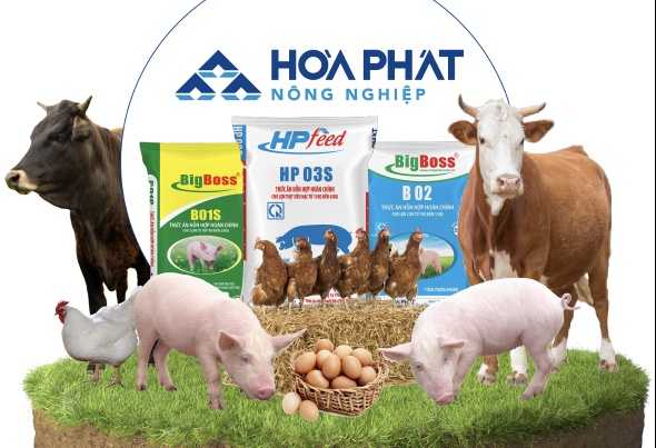 Chục năm đầu tư vào mảng nông nghiệp, Hòa Phát (HPG) thu được bao nhiêu?