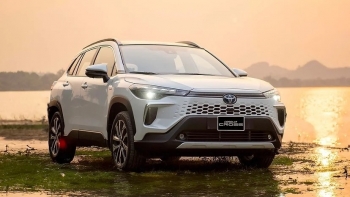 Dòng xe càn quét thị trường ô tô Việt quý I/2025
